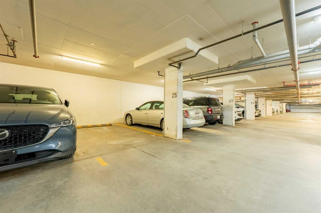 2205-175 Silverado Boulevard Sw, Calgary, AB - Indoor Photo Showing Garage
