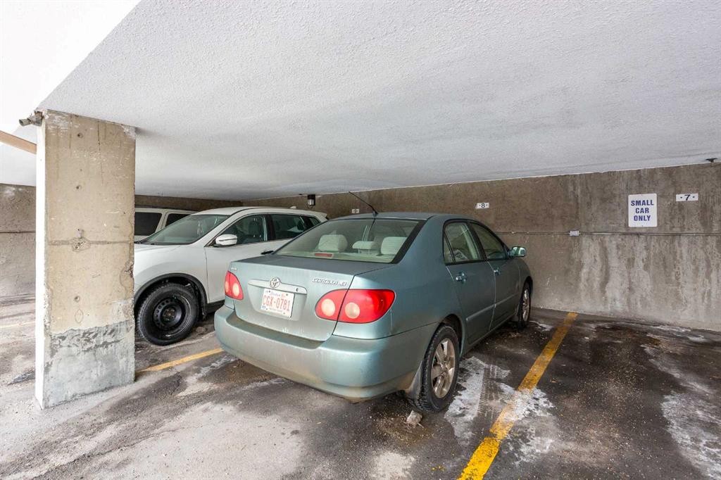 204-809 4 Street Ne, Calgary, AB - Indoor Photo Showing Garage