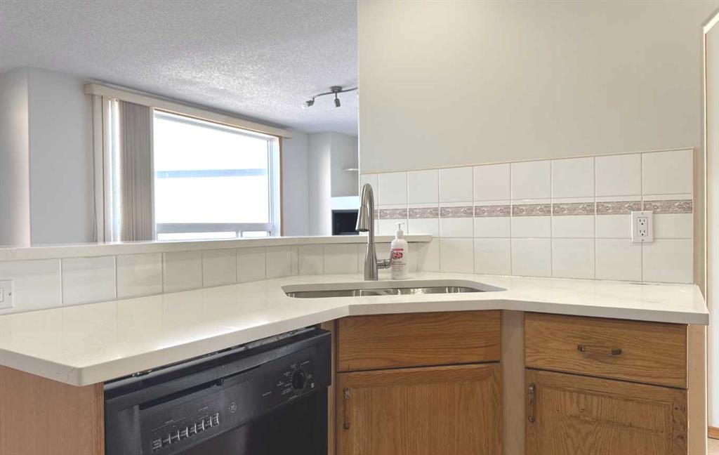 244 Los Alamos Place Ne, Calgary, AB - Indoor Photo Showing Kitchen With Double Sink