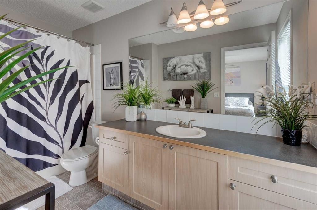 219 Copperfield Lane Se, Calgary, AB - Indoor Photo Showing Bathroom