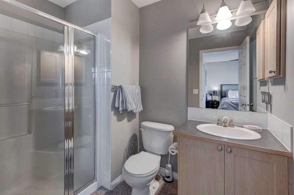 219 Copperfield Lane Se, Calgary, AB - Indoor Photo Showing Bathroom