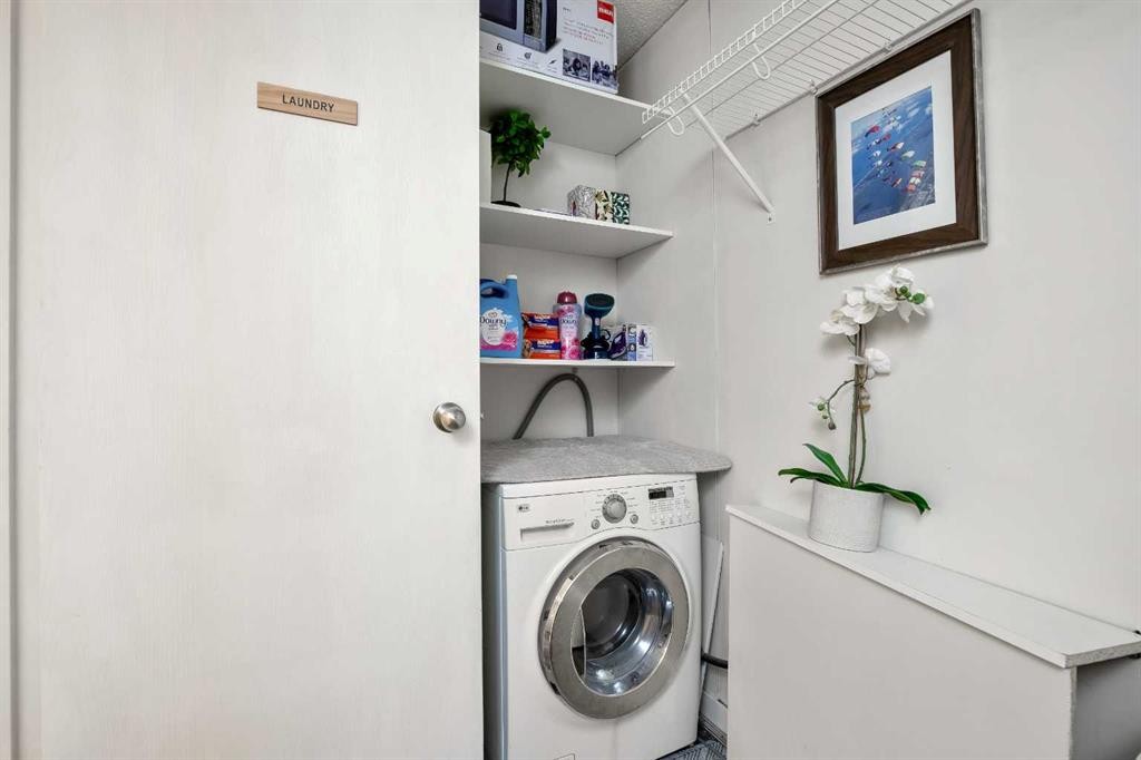 301-523 15 Avenue Sw, Calgary, AB - Indoor Photo Showing Laundry Room