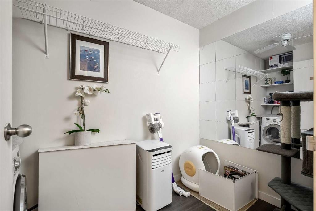 301-523 15 Avenue Sw, Calgary, AB - Indoor Photo Showing Laundry Room