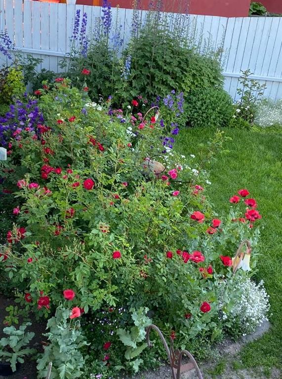 113 Brown Crescent Nw, Calgary, AB - Outdoor