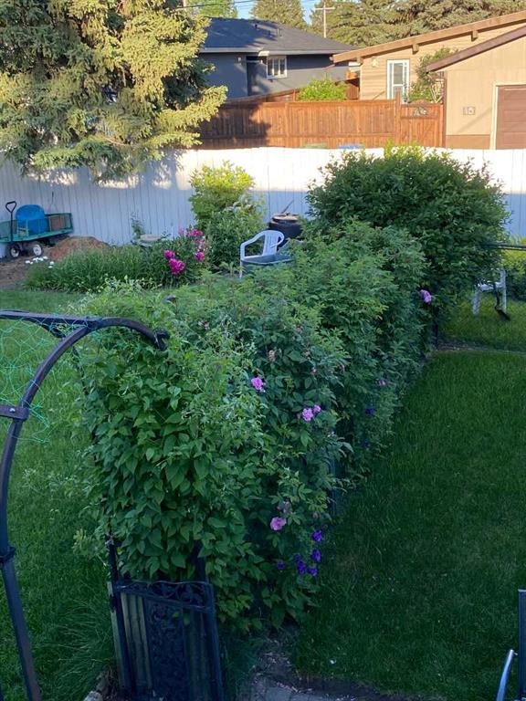 113 Brown Crescent Nw, Calgary, AB - Outdoor