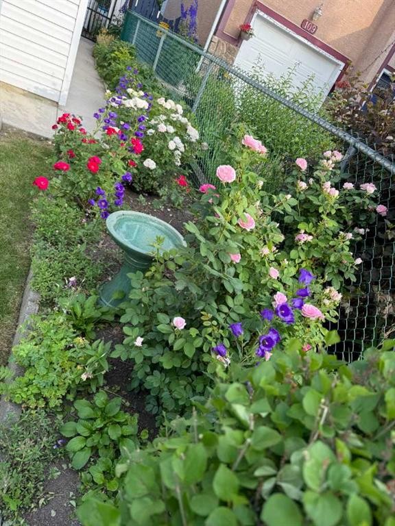 113 Brown Crescent Nw, Calgary, AB - Outdoor