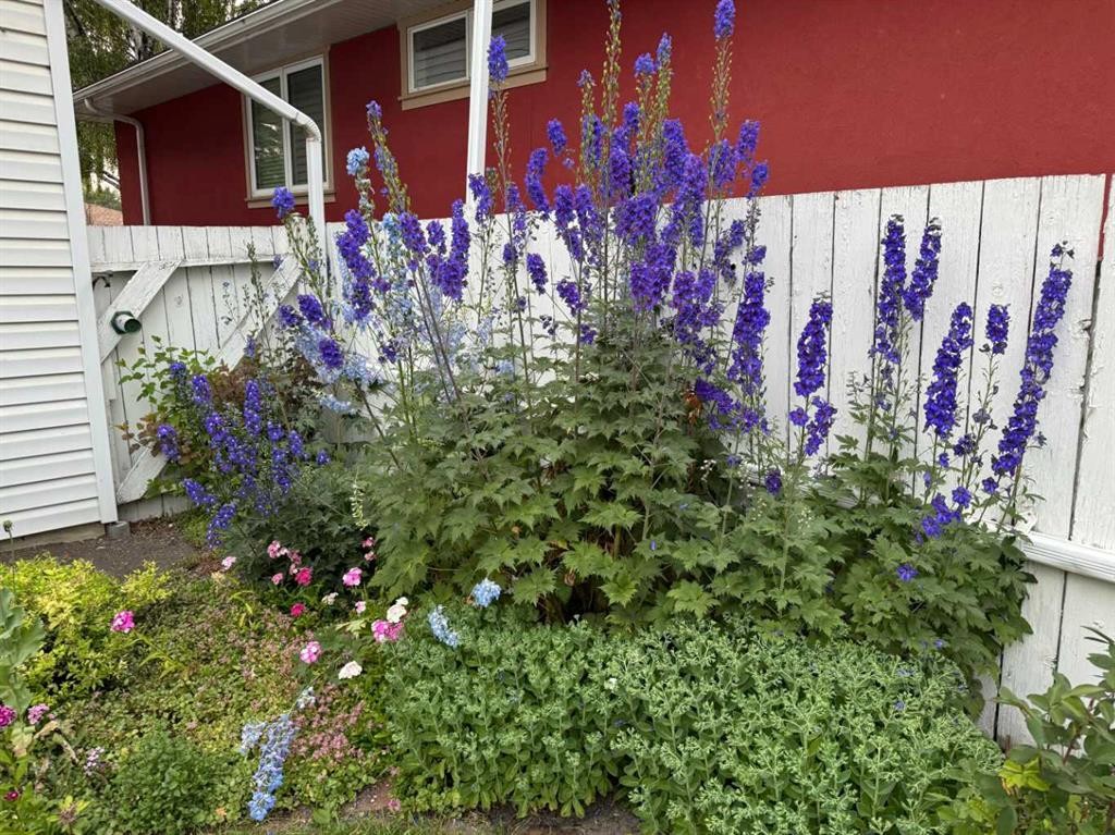 113 Brown Crescent Nw, Calgary, AB - Outdoor