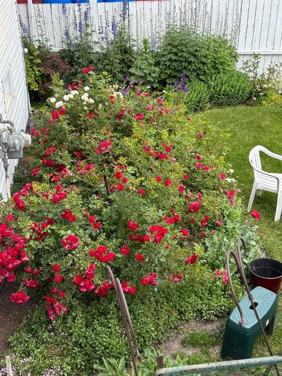 113 Brown Crescent Nw, Calgary, AB - Outdoor