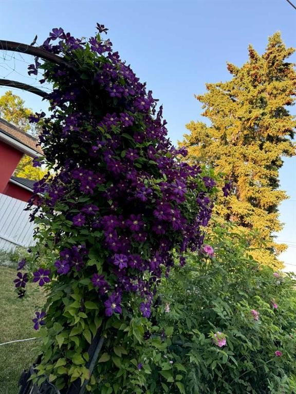 113 Brown Crescent Nw, Calgary, AB - Outdoor