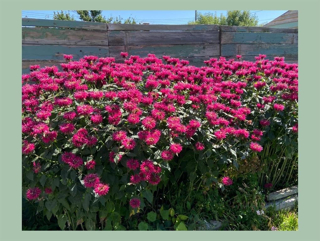 119 47 Avenue West, Claresholm, AB - Outdoor