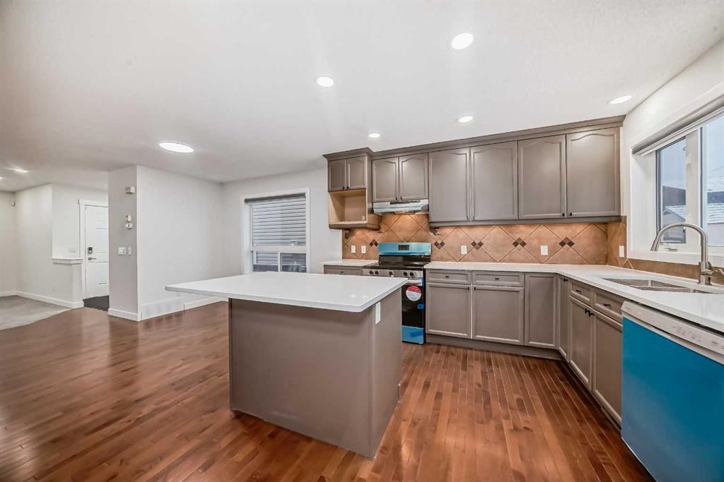 79 Saddlebrook Way Ne, Calgary, AB - Indoor Photo Showing Kitchen With Double Sink