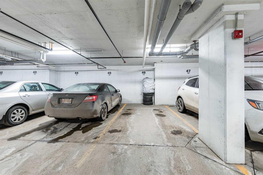 3217-6118 80 Avenue Ne, Calgary, AB - Indoor Photo Showing Garage