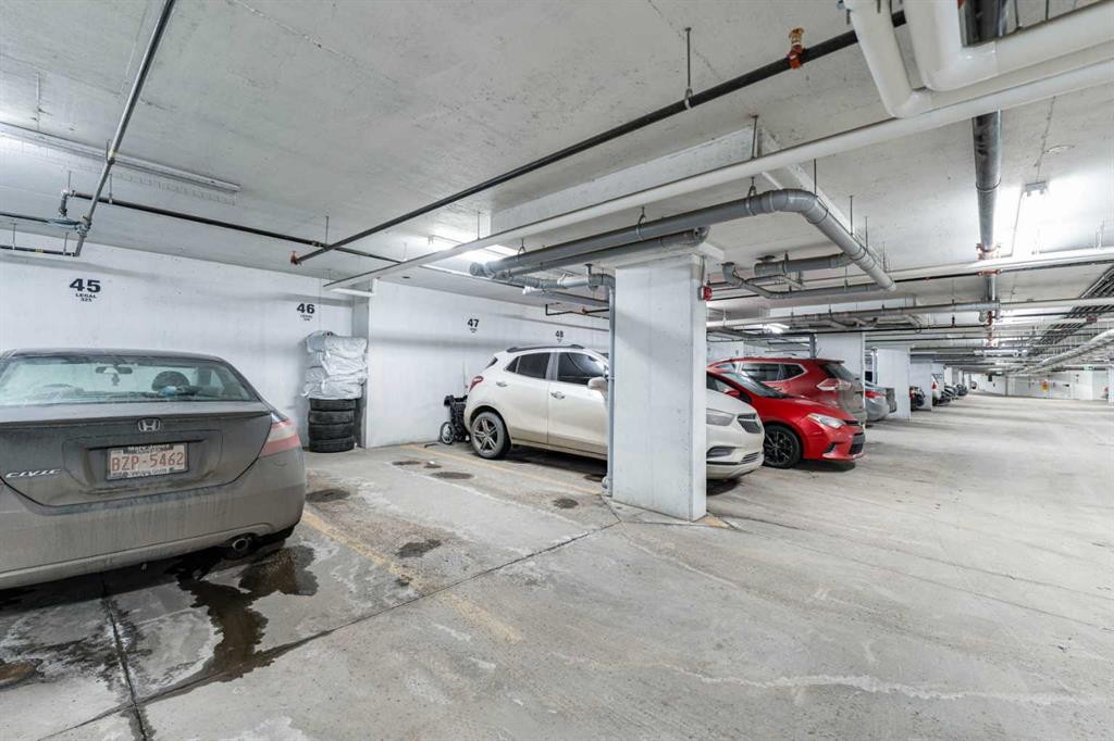 3217-6118 80 Avenue Ne, Calgary, AB - Indoor Photo Showing Garage