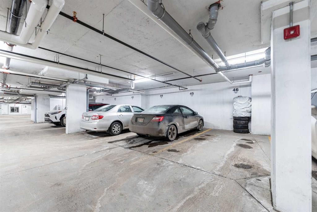 3217-6118 80 Avenue Ne, Calgary, AB - Indoor Photo Showing Garage