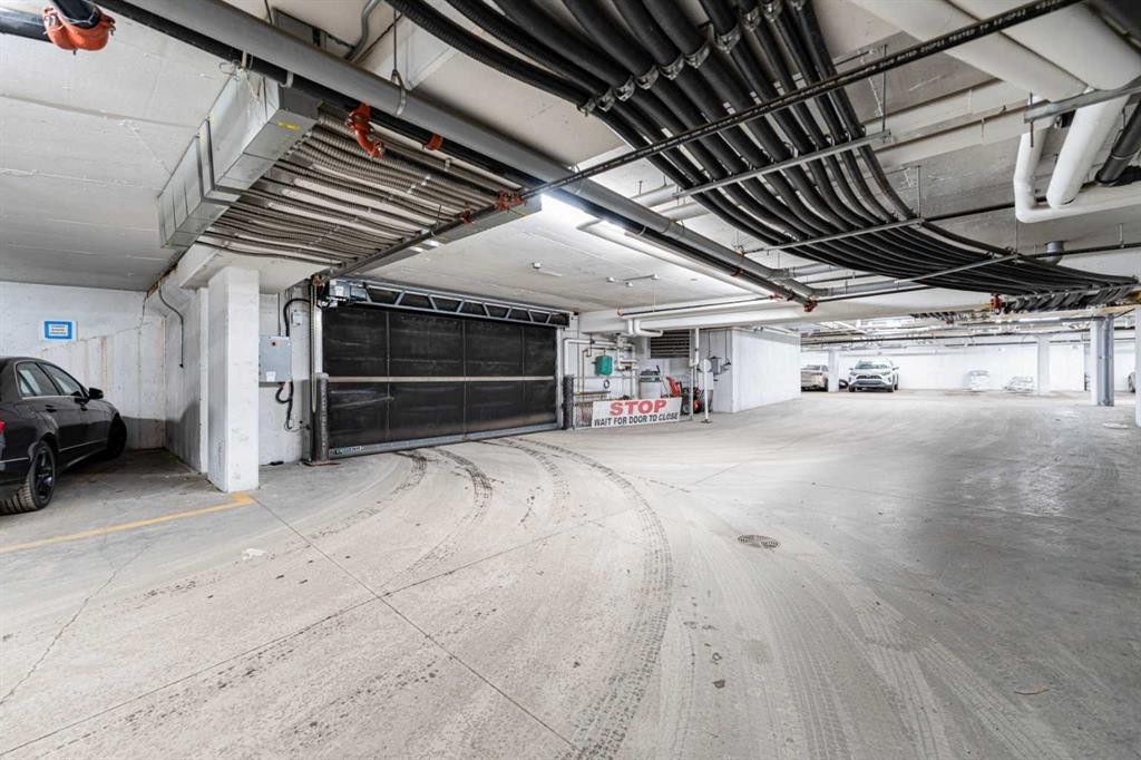 3217-6118 80 Avenue Ne, Calgary, AB - Indoor Photo Showing Garage