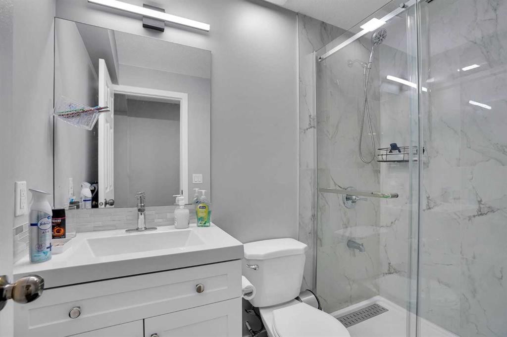 257 Saddlebrook Point Ne, Calgary, AB - Indoor Photo Showing Bathroom