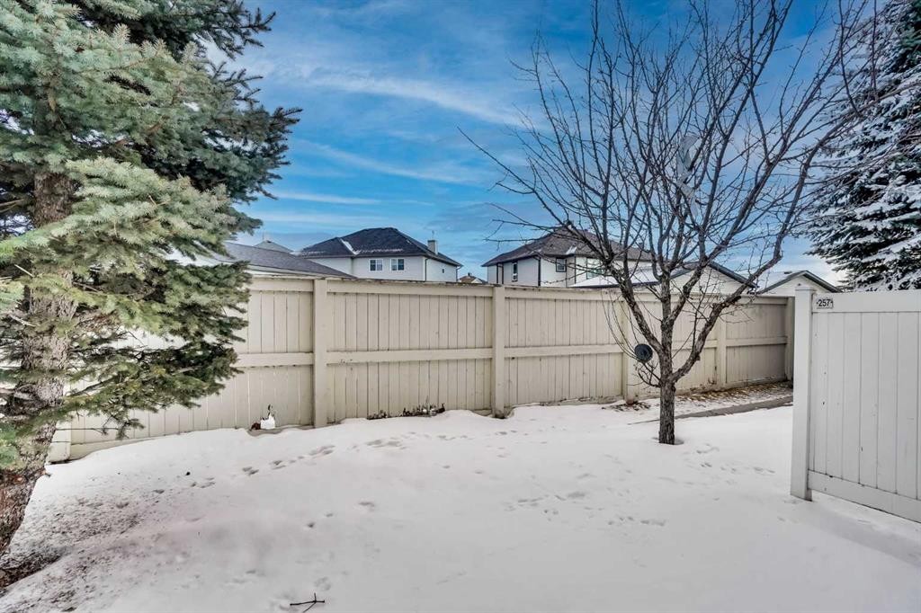 257 Saddlebrook Point Ne, Calgary, AB - Outdoor