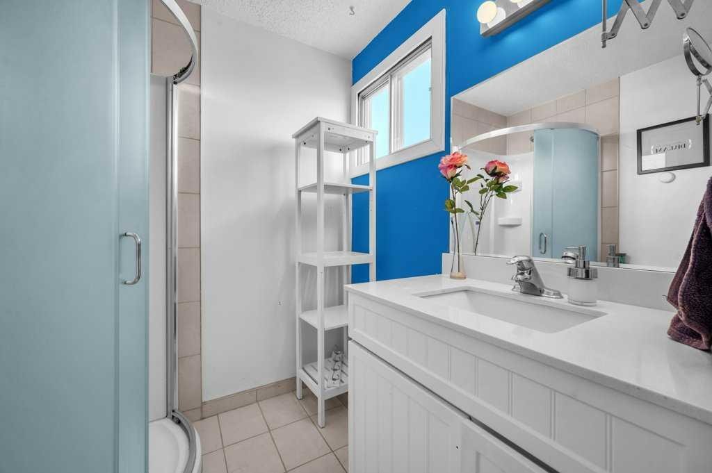 64 Castledale Crescent Ne, Calgary, AB - Indoor Photo Showing Bathroom
