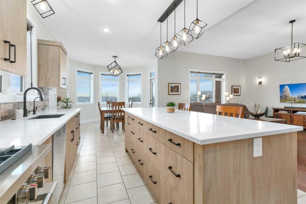 533 Birch Close, Birchcliff, AB - Indoor Photo Showing Kitchen With Upgraded Kitchen