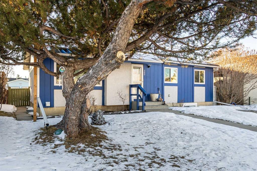 380 Maddock Crescent Ne, Calgary, AB - Outdoor