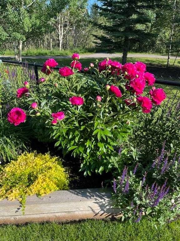 15 Copperfield Close Se, Calgary, AB - Outdoor