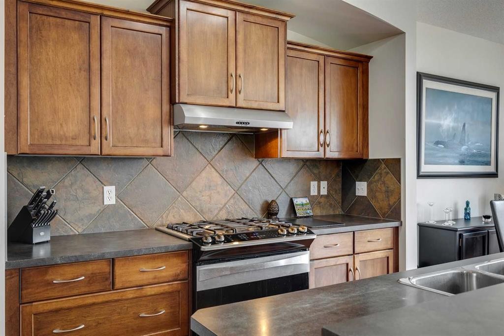 15 Copperfield Close Se, Calgary, AB - Indoor Photo Showing Kitchen With Double Sink With Upgraded Kitchen