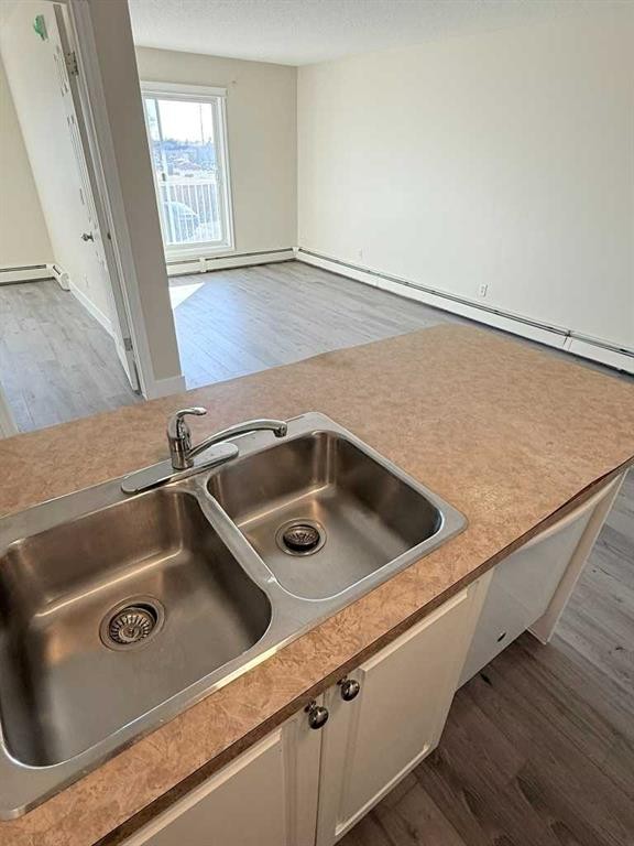 207-5555 Falsbridge Drive Ne, Calgary, AB - Indoor Photo Showing Kitchen With Double Sink