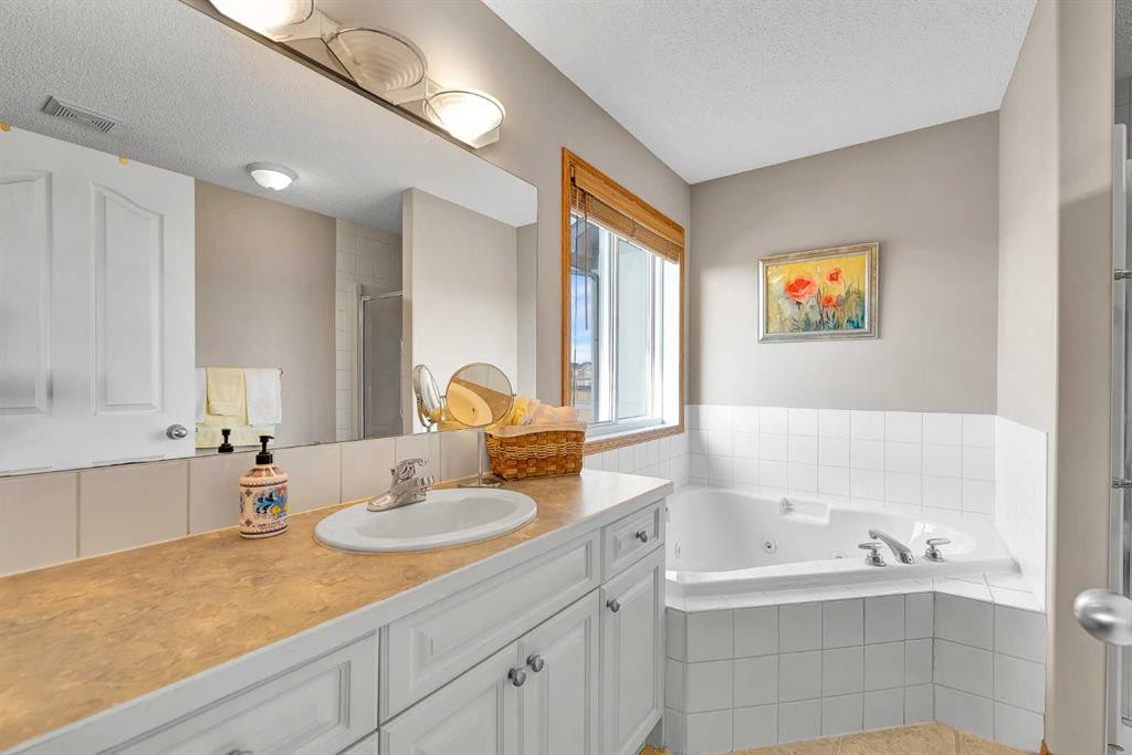 132 Saddletree Close Ne, Calgary, AB - Indoor Photo Showing Bathroom