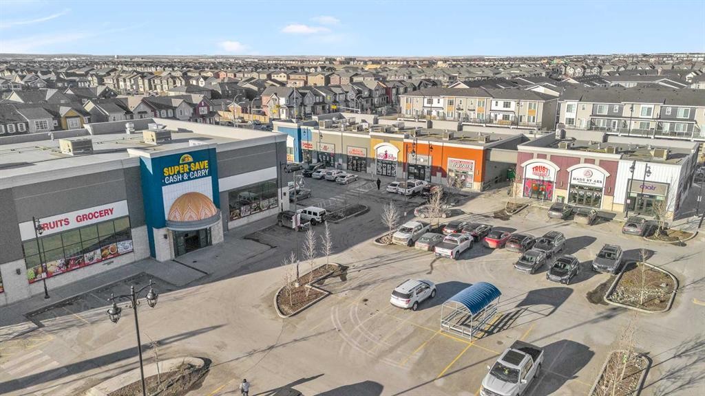 132 Saddletree Close Ne, Calgary, AB - With View