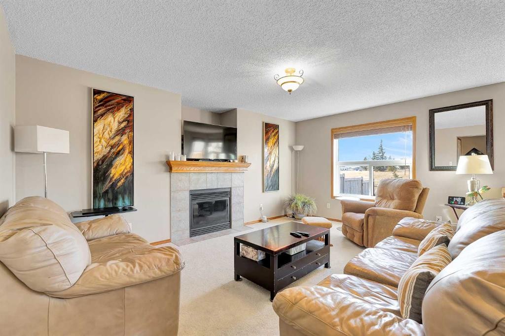 132 Saddletree Close Ne, Calgary, AB - Indoor Photo Showing Living Room With Fireplace