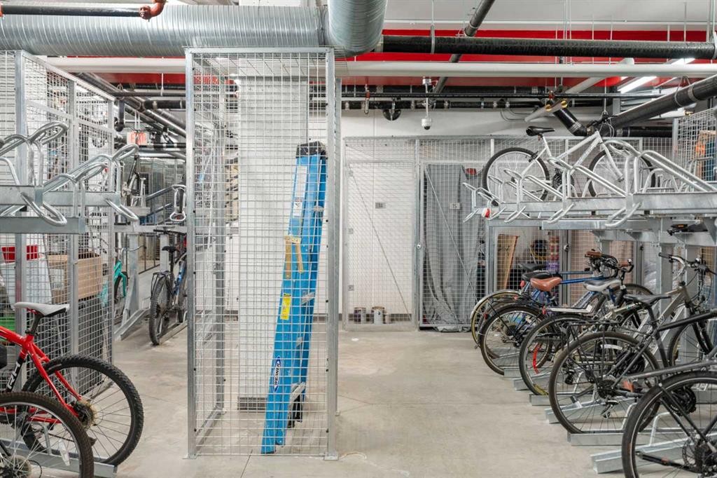 1503-450 8 Avenue Se, Calgary, AB - Indoor Photo Showing Garage