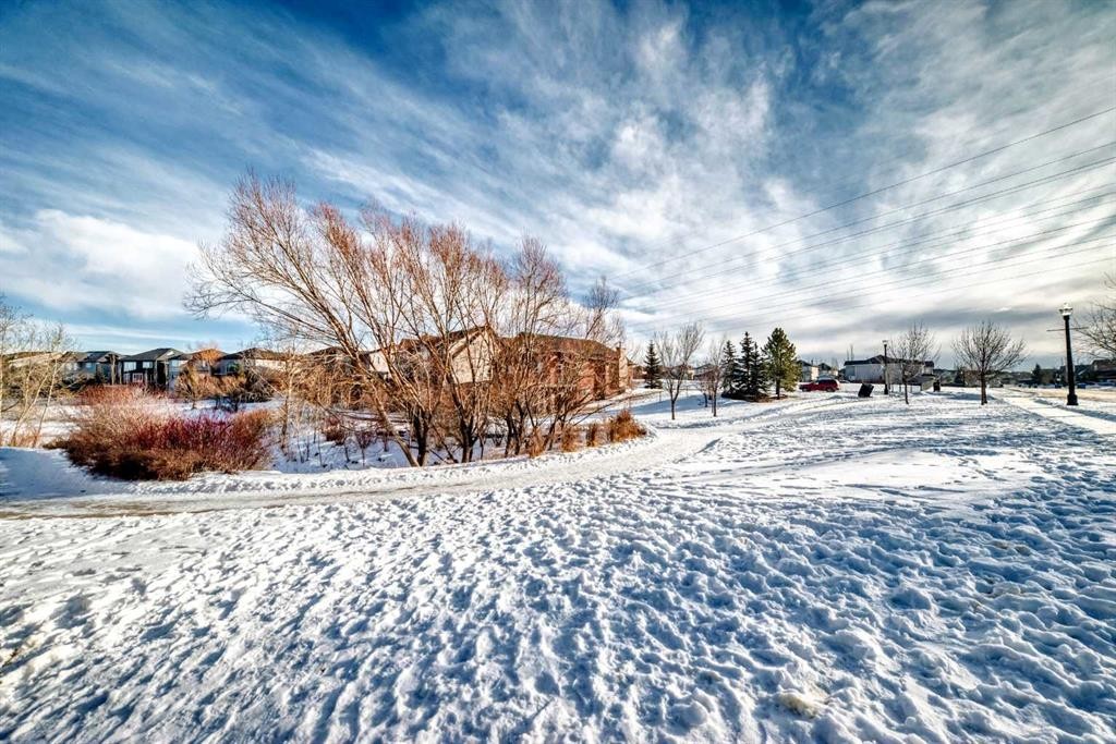 397 Rainbow Falls Drive, Chestermere, AB - Outdoor With View