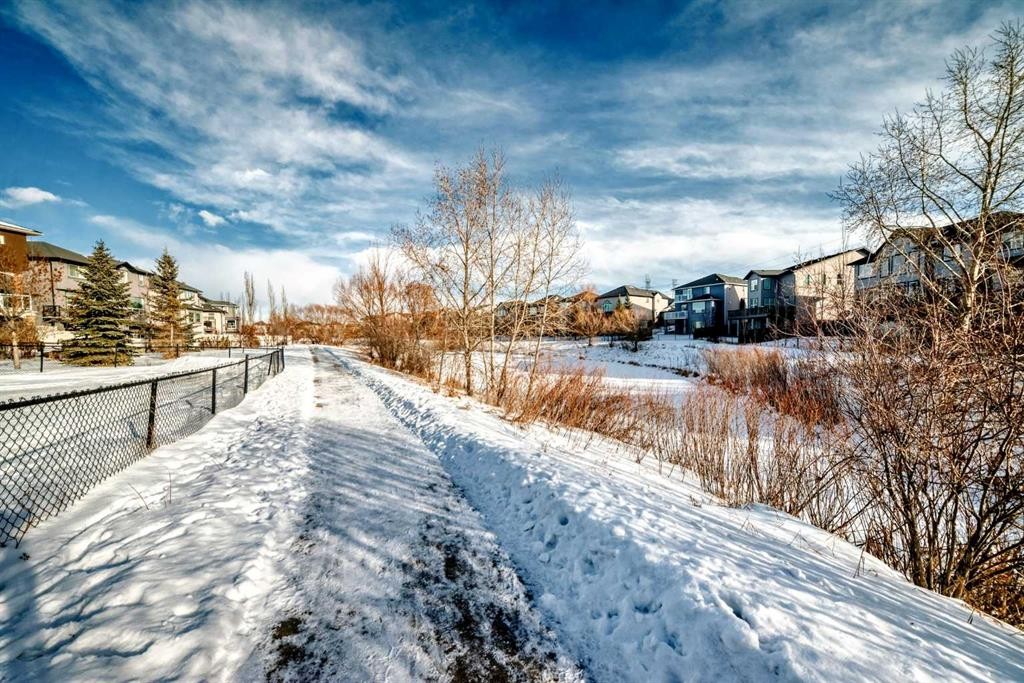 397 Rainbow Falls Drive, Chestermere, AB - Outdoor