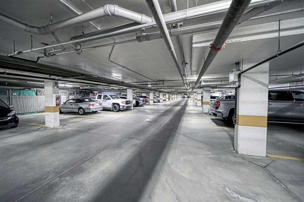 242-52 Cranfield Link Se, Calgary, AB - Indoor Photo Showing Garage