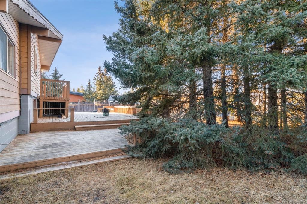 17 Gibson Road, Benchlands, AB - Outdoor With Deck Patio Veranda