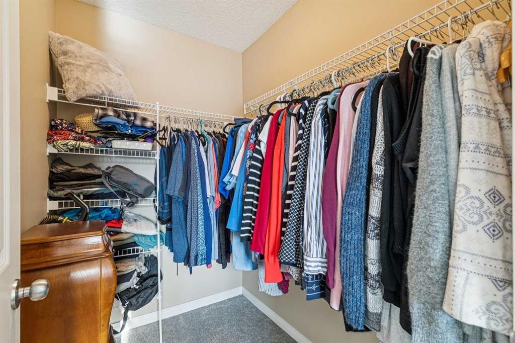 460 Silverado Plains Circle Sw, Calgary, AB - Indoor With Storage