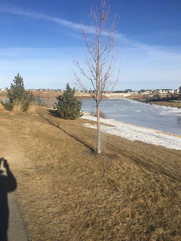 1100 Bayview Gardens Sw, Airdrie, AB - Outdoor With View