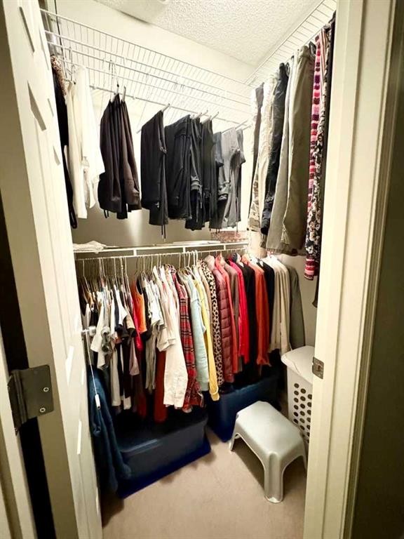 13-43 Springborough Boulevard Sw, Calgary, AB - Indoor With Storage