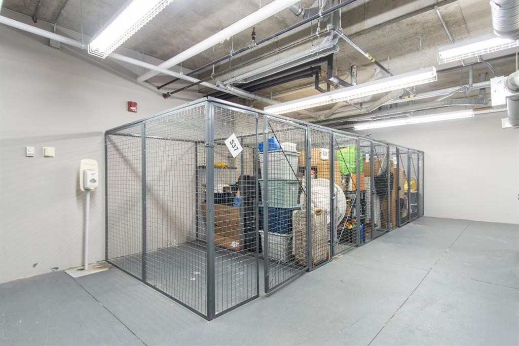 105-100 Cranfield Common Se, Calgary, AB - Indoor Photo Showing Garage