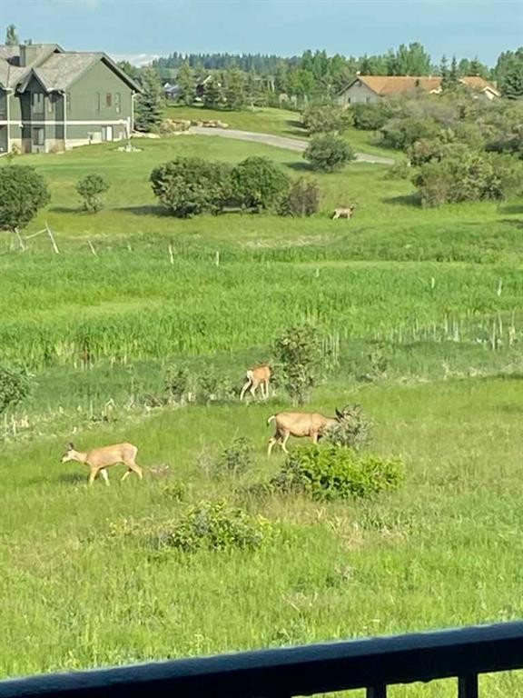 67 Fireside Terrace, Cochrane, AB - Outdoor With View