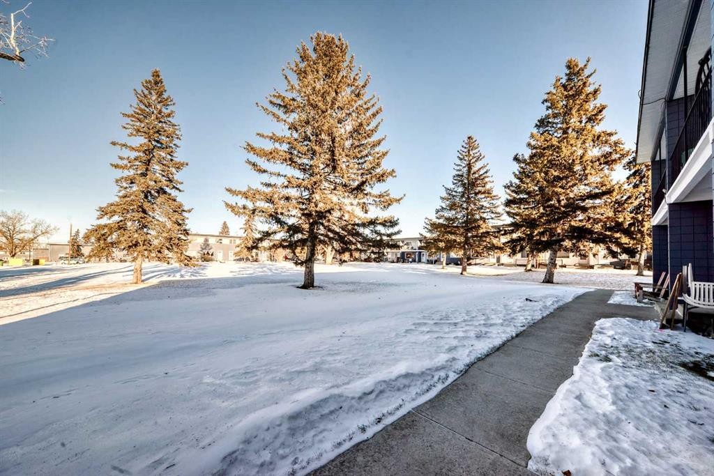 146-2211 19 Street Ne, Calgary, AB - Outdoor