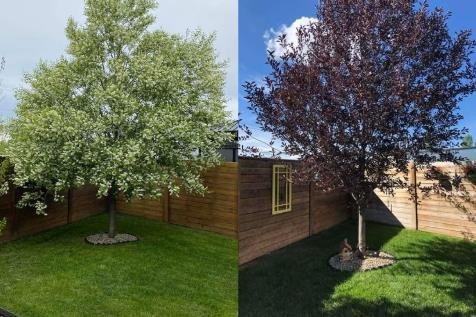 60 Walden Parade Se, Calgary, AB - Outdoor