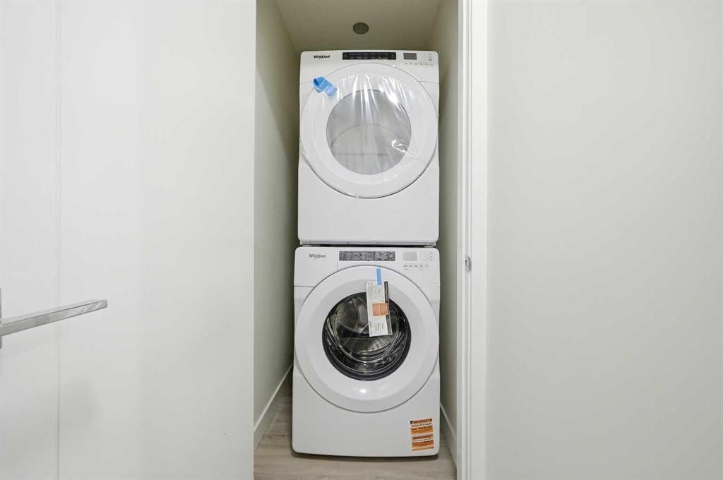 2106-15 Skyview Point Crescent Ne, Calgary, AB - Indoor Photo Showing Laundry Room