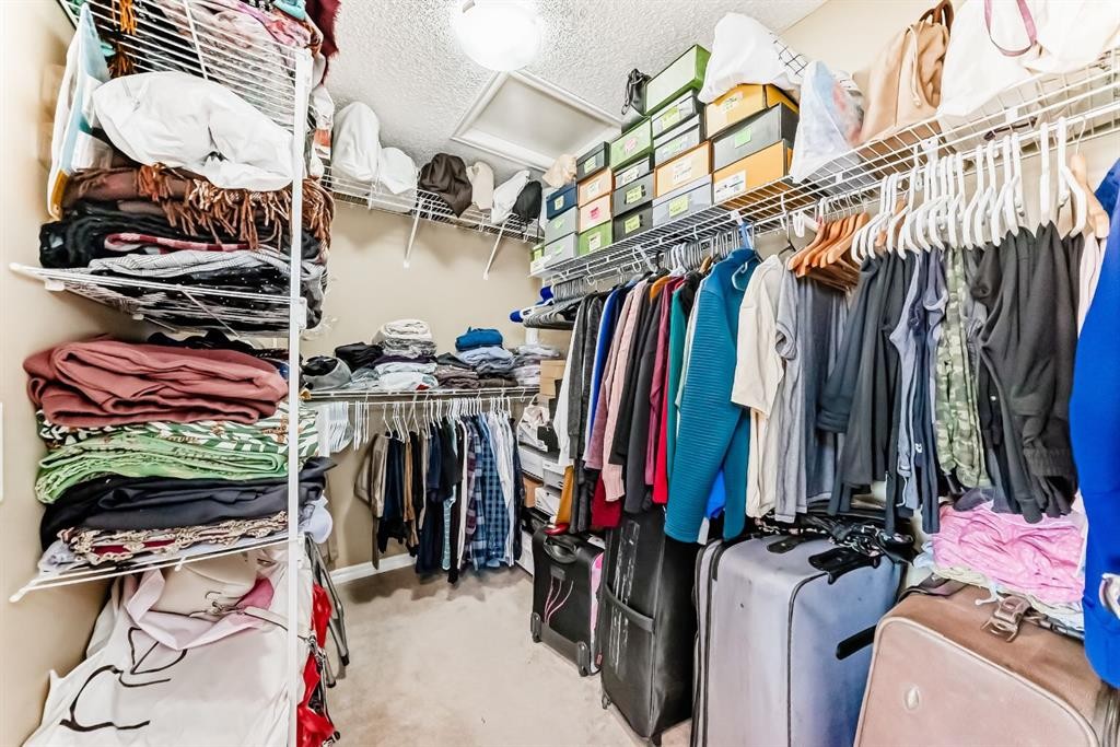 108 Seagreen Lane, Chestermere, AB - Indoor With Storage