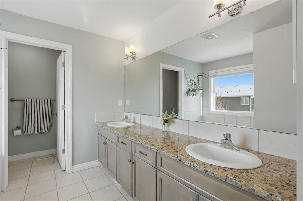 49 Williamstown Green Nw, Airdrie, AB - Indoor Photo Showing Bathroom
