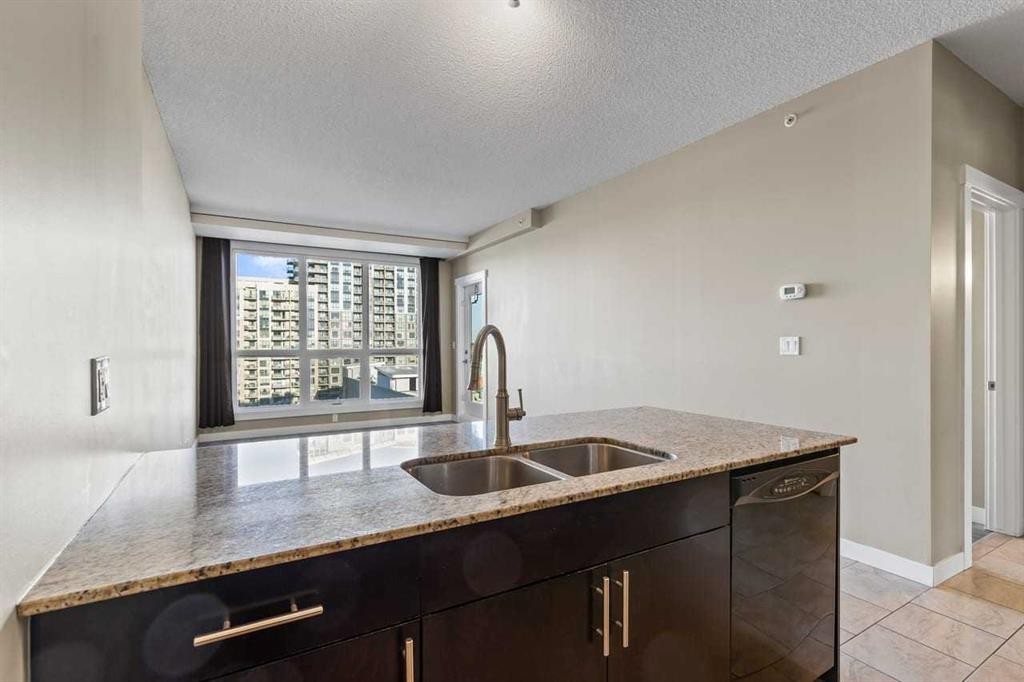 1103-8880 Horton Road Se, Calgary, AB - Indoor Photo Showing Kitchen With Double Sink