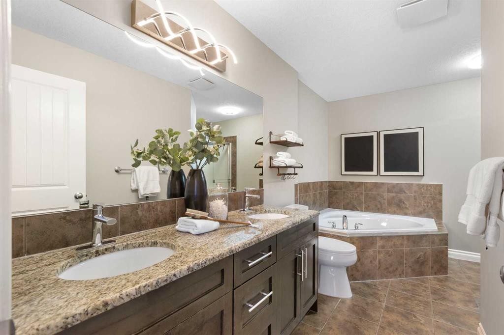 100 Lakeside View, Strathmore, AB - Indoor Photo Showing Bathroom