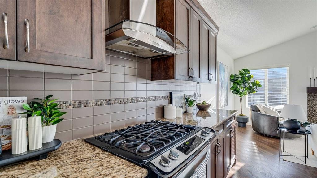 389 Cranberry Circle Se, Calgary, AB - Indoor Photo Showing Kitchen With Upgraded Kitchen