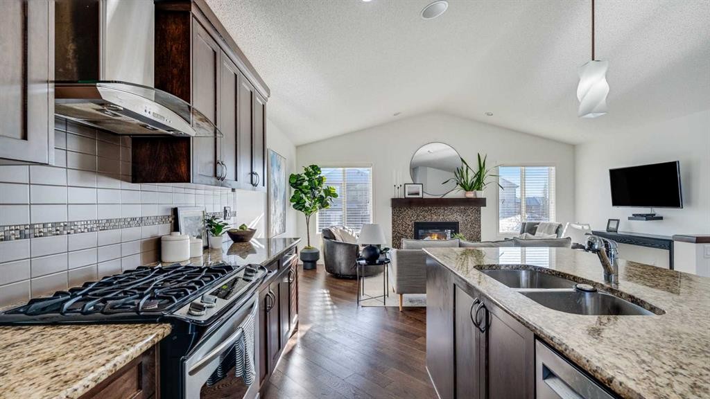 389 Cranberry Circle Se, Calgary, AB - Indoor Photo Showing Kitchen With Double Sink With Upgraded Kitchen