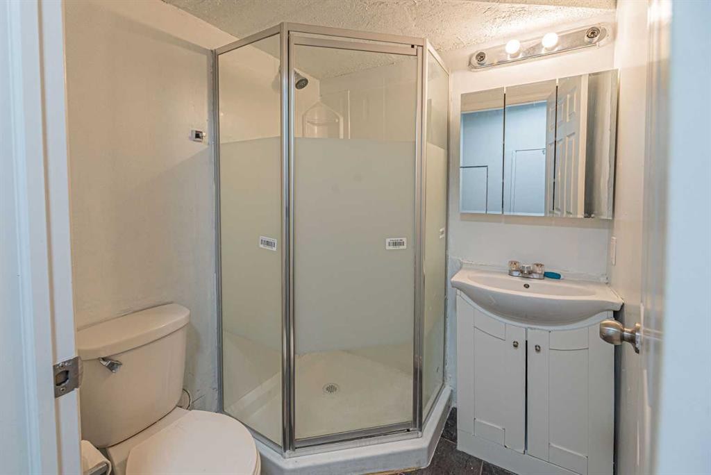 38 Martindale Drive Ne, Calgary, AB - Indoor Photo Showing Bathroom